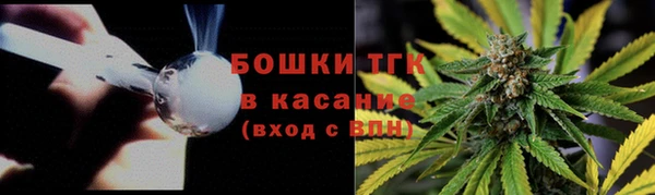 сатива Михайловск