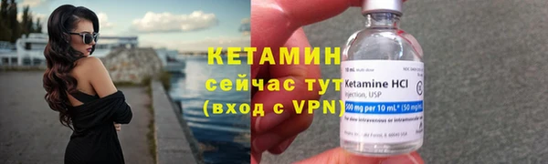 сатива Михайловск