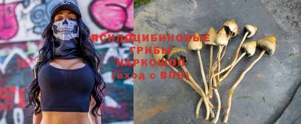 сатива Михайловск