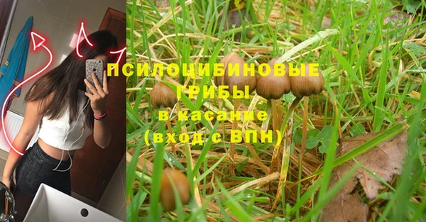 a pvp Михайлов