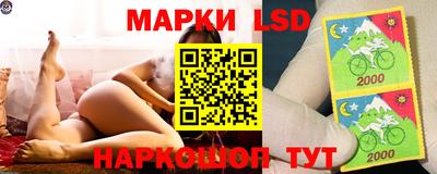 стаф Балахна