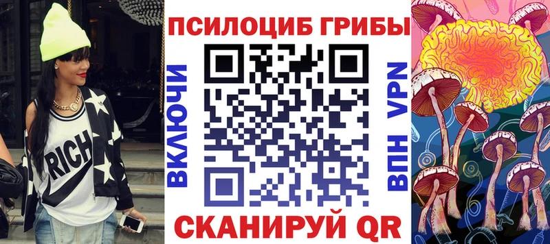 блэк спрут маркетплейс  Бор  Галлюциногенные грибы мицелий 