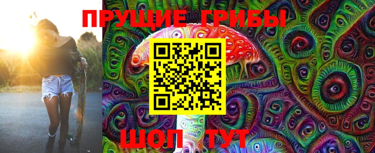 Псилоцибиновые грибы мицелий  Бор  Галлюциногенные грибы GOLDEN TEACHER 