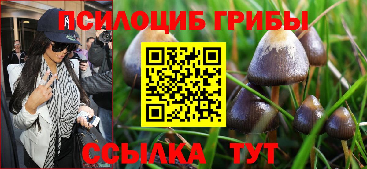 Бор  Псилоцибиновые грибы MAGIC MUSHROOMS  Псилоцибиновые грибы мицелий  Вход с VPN 