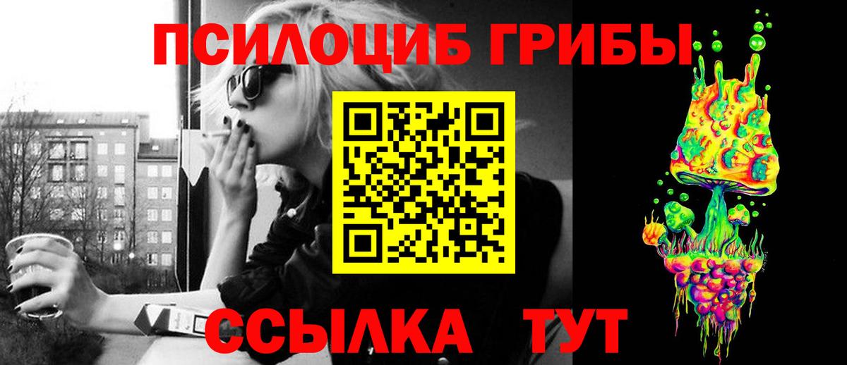 Галлюциногенные грибы Psilocybe Бор